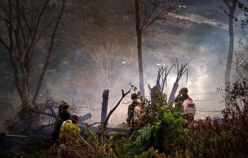 Tỉnh An Giang: Chủ động phòng, chống cháy rừng